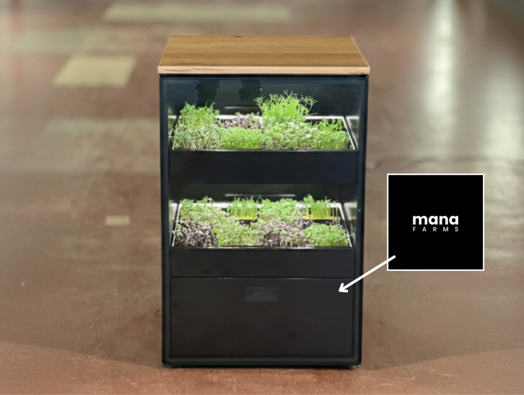 Display placement within the Mana Cube