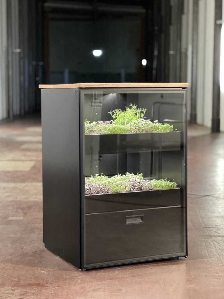 Mana Cube final product